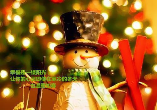 吻上未婚夫的表弟后，他追悔莫及免费阅读许枝枝江庭林晚晚小说