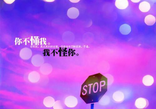 陆津南宋玲沈晚晚哪里可以看 陆津南宋玲沈晚晚免费阅读第三章