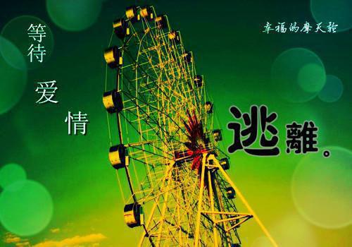 崽崽心声泄露后，炮灰全家杀疯了赵思思小说全文免费阅读 崽崽心声泄露后，炮灰全家杀疯了赵思思最新章节