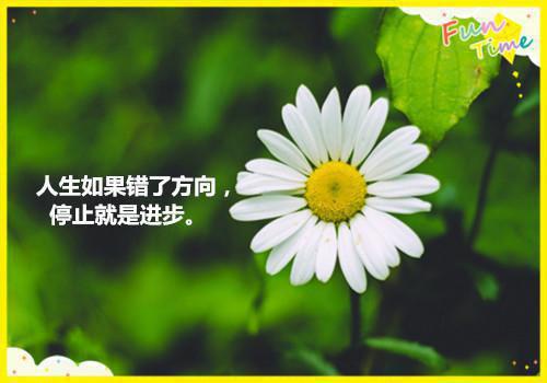 冷霜加装全文免费阅读（冷霜加装小说）全文在线张叶读无弹窗大结局_（张叶全文在线张叶读无弹窗）冷霜加装小说最新章节列表（张叶）