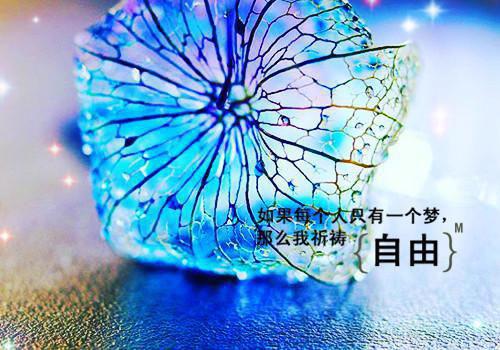 大雾散尽，落入迷雾中小说完整版 阮清槐薄斯珩在线阅读