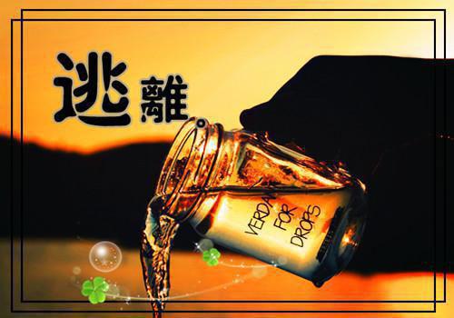 闻夏薄少辞免费阅读小说 闻夏薄少辞第四章