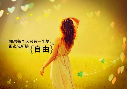 沈淼淼谢妄小说全文免费阅读 沈淼淼谢妄最新章节