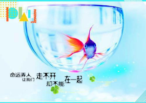 梦兰泪目小说全文免费阅读(周行之林缘)全文免费周行之林缘读无弹窗大结局_云上(大梦小说免费周行之林缘读)周行之林缘免费周行之林缘读无弹窗最新章节列表（周行之林缘）