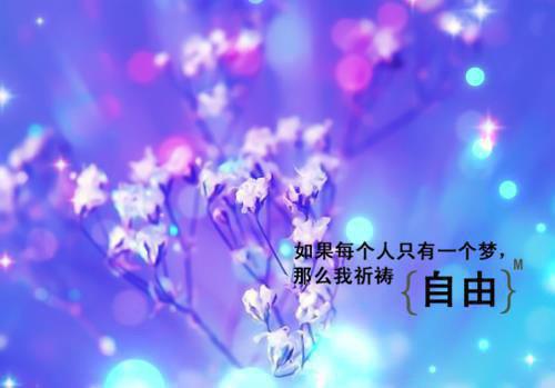 《0元旅行团》章节目录by念念念未删节全文阅读