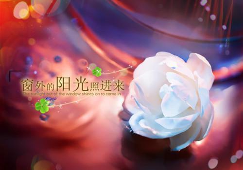 李唯裴恒苏晴小说最新章节 李唯裴恒苏晴免费阅读