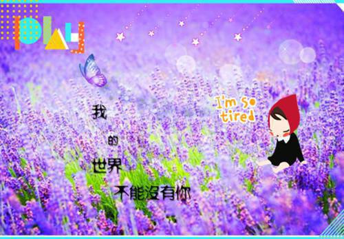 江明月陆绍庭什么小说 江明月陆绍庭全文免费阅读