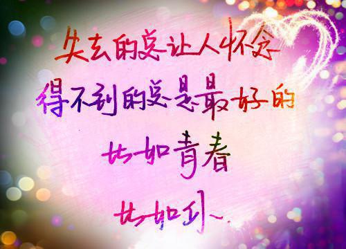 妻子要给同性恋竹马传宗接代林晚舟陆川叶欣然大结局全本免费阅读