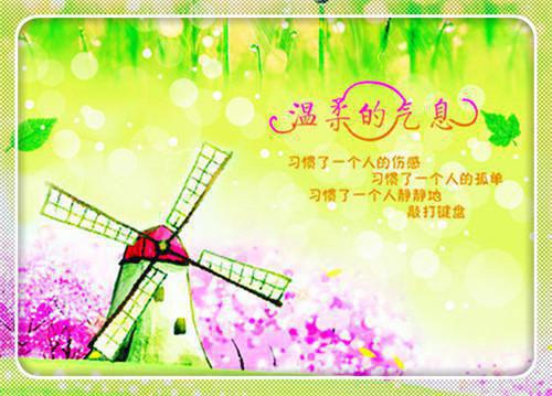 谢元昭褚墟全文阅读 谢元昭褚墟小说最新章节