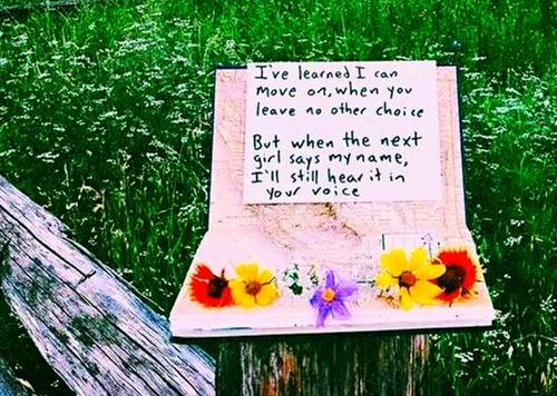 宋雨萱顾清小说 赚钱养嘟嘟的第一本书章节阅读