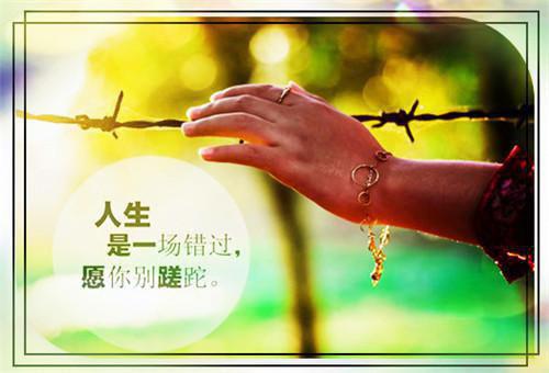 《造孽！拾荒大佬又从丧尸手里抢东西》by苏九遥(吴勇林初)无弹窗免费阅读