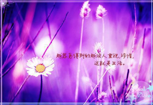 为女友换心后她害我全家免费阅读周珩白芷顾淮小说