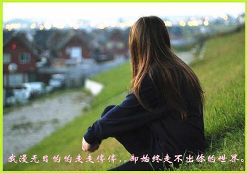 燕十一叶长生免费全文 燕十一叶长生小说在线阅读