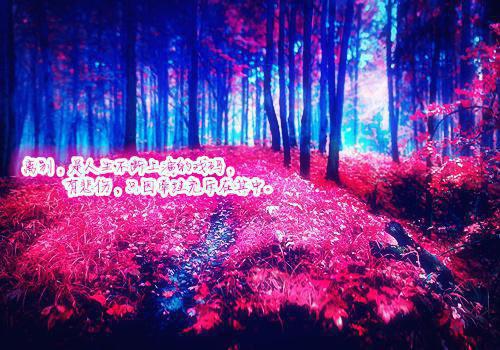 赵华英暮暮全文最新章节正版小说免费阅读