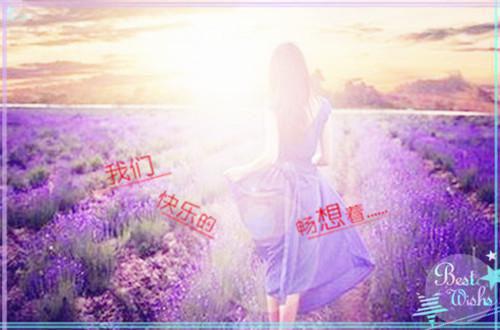 禾宴清衍小说 禾宴清衍免费章节阅读