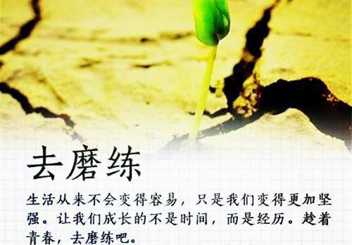 白月光回国后，霍总被夫人甩了免费阅读池晚霍司寒 白月光回国后，霍总被夫人甩了琉璃雪雪小说