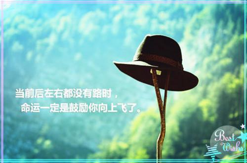 云朵江桁小说最新章节 云朵江桁免费阅读