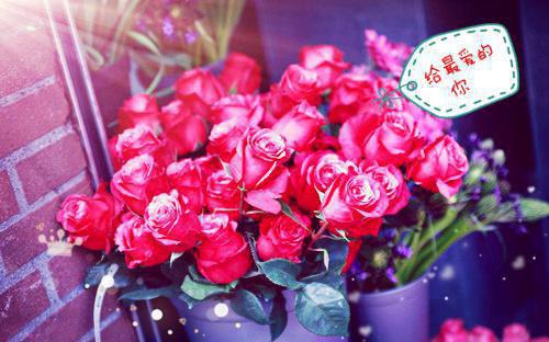 昭满满蔺池野新书热荐免费小说全文完整版-小说精选片段阅读