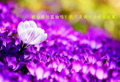 主角是林立的小说免费阅读全文大结局