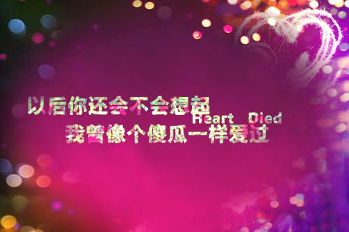 无弹窗老公拿女儿的命为情人换肾叶玫齐修明宋湘小说未删减版全集免费试读