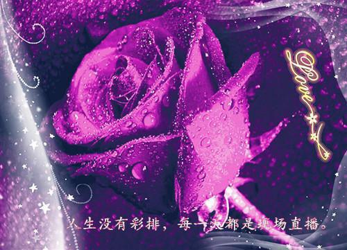 黎川秦渊颜云汐什么小说 黎川秦渊颜云汐全文免费阅读