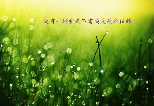 在古代生了七个女娃,被婆家休了白露顾凉完整版小说全文章节app内免费阅读