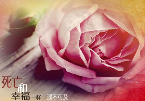 阮虞裴墨宸（裴墨宸阮虞）小说全文免费阅读无弹窗_（裴墨宸阮虞）最新章节列表