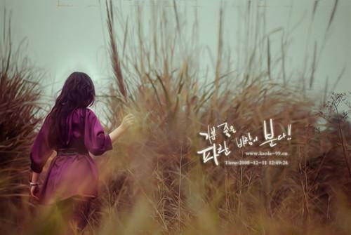 风轻繁星小说全文免费阅读是风轻繁星小说的小说（霍倾林渺）免费阅读_风轻繁星小说霍倾林渺小说免费风轻繁星小说（风轻繁星小说）