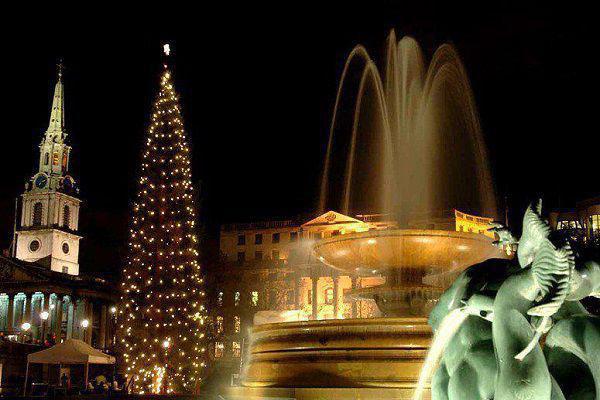 姜莱小说无删减无弹窗 糖心甜宠在线看