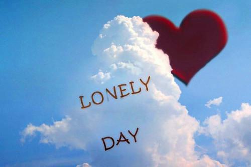 刘红杨倩李东最新章节免费 刘红杨倩李东第5章在线阅读