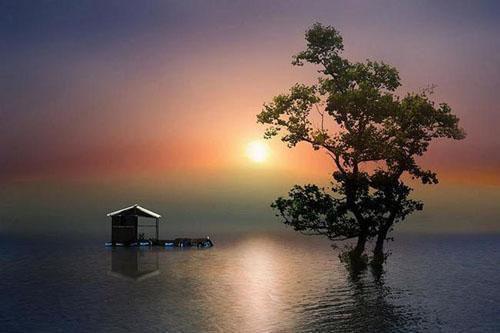 林子帆江俊名孙晓茹的小说 妻子谎称女儿脑死亡后,我杀疯了小说免费阅读