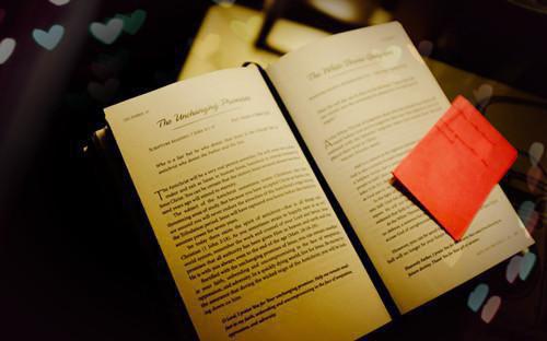 竹节文学七年成空无广告 傅恒许静漪苏锦在线免费阅读