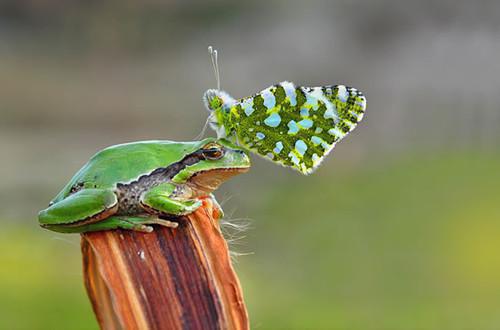 蒋蔓蔓子升免费小说 蒋蔓蔓子升在线阅读