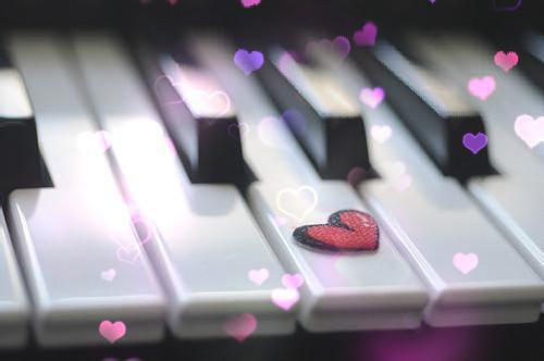 姜璃宋清羽免费小说 姜璃宋清羽在线阅读