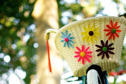 浪子回头后林听裴淮江诗晚全文免费阅读(已完结)