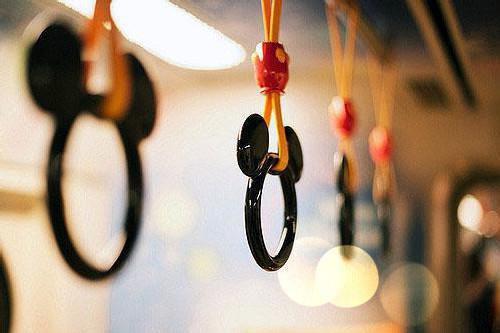 已完结《一念柳梢头》谢淮舟阿晋小说全文完整章节app内阅读全文