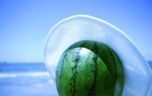 姜栀栀简行（姜栀栀简行）全文免费阅读无弹窗大结局_姜栀栀简行热门小说最新章节阅读