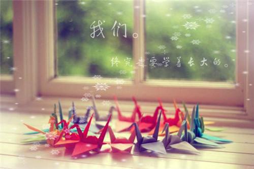 林夕俞晚周朝免费小说 林夕俞晚周朝全文阅读目录