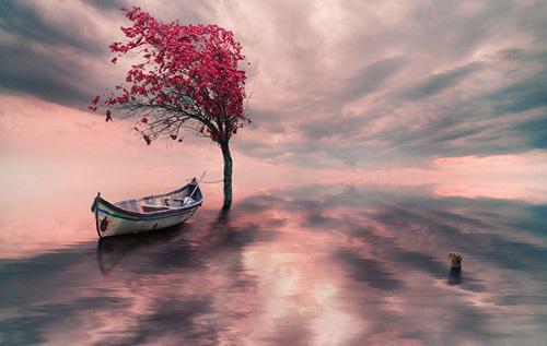 怀胎六月的老婆，爱上50岁糙汉全文目录 慕颜欣顾之洲小说全本资源阅读