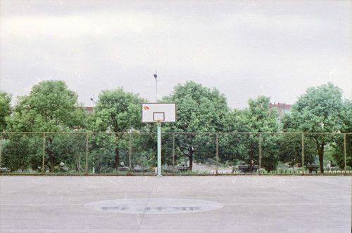 低温无心周迟许温周辞无弹窗在线阅读全文