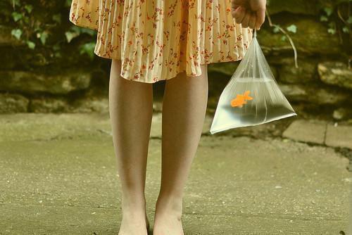 小狐狸最新更新 苏昭昭裴岭暮暮小说在线阅读