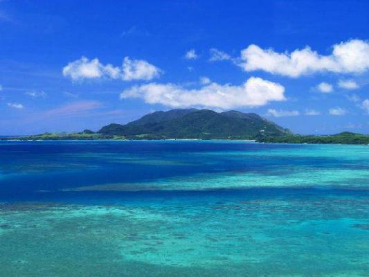 方慧敏周楚尧是啥小说 方慧敏周楚尧免费阅读无广告