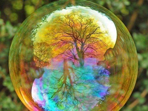 陆景裕杨柠徐星晚免费小说 陆景裕杨柠徐星晚全文阅读目录