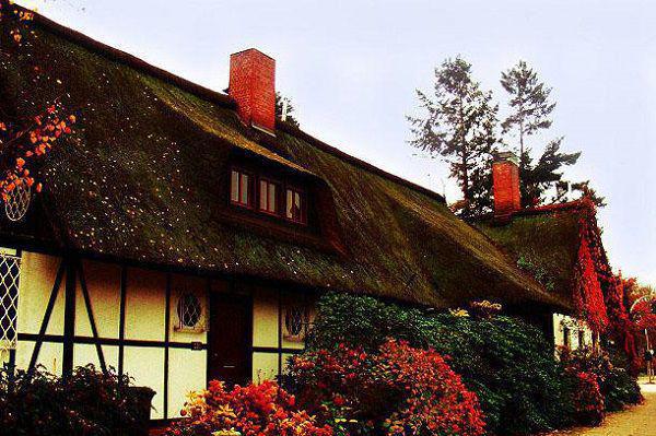 沈甘棠秋禾小说大结局 穿越贵妃她又狠又绝在线看