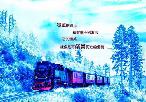 谢若琪贺非免费小说 谢若琪贺非在线阅读