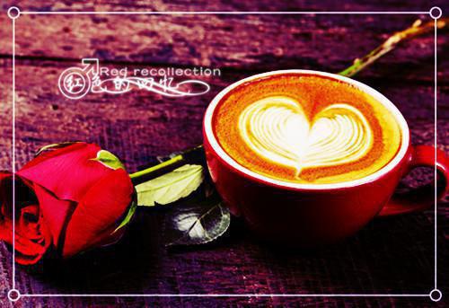 主角是沈睦洲苏青青的小说免费阅读全文大结局