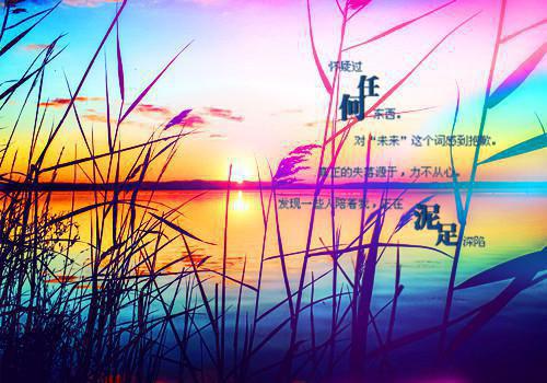 霍崇霍宏小说在线阅读 霍崇霍宏最新章节目录