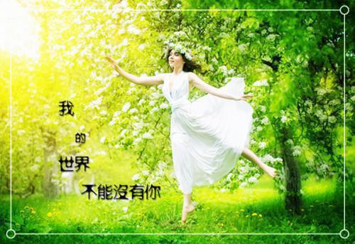 (最新)司棠秋傅惊鸿小说完整版免费阅读