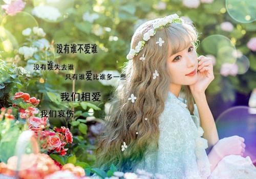 王夕林浩风燕柏什么小说 王夕林浩风燕柏全文免费阅读