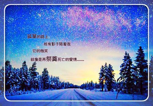 戚长容君琛小说章节目录 戚长容君琛免费阅读第5章